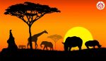 Best Travel Destinations in Africa